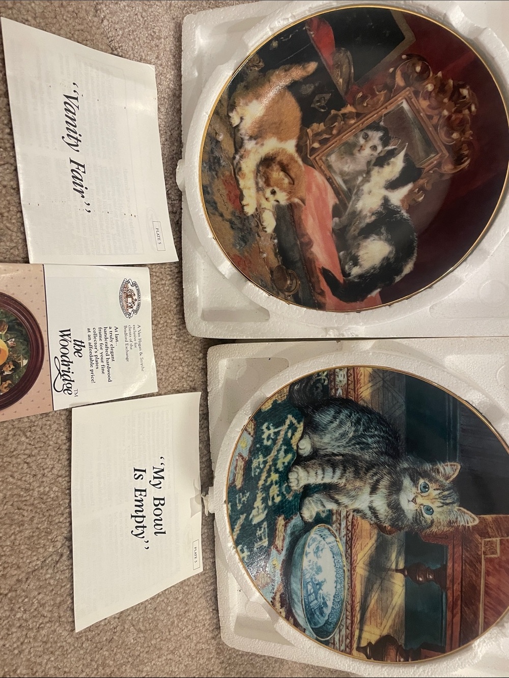 Set of Cat-Themed Decorative Accent Plates in Multi-Color